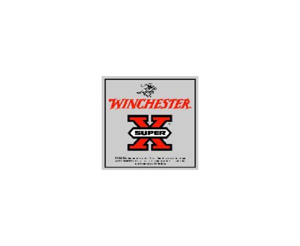 Buy Winchester Super-X 307 Winchester 180GR PP 20rds Online!!
